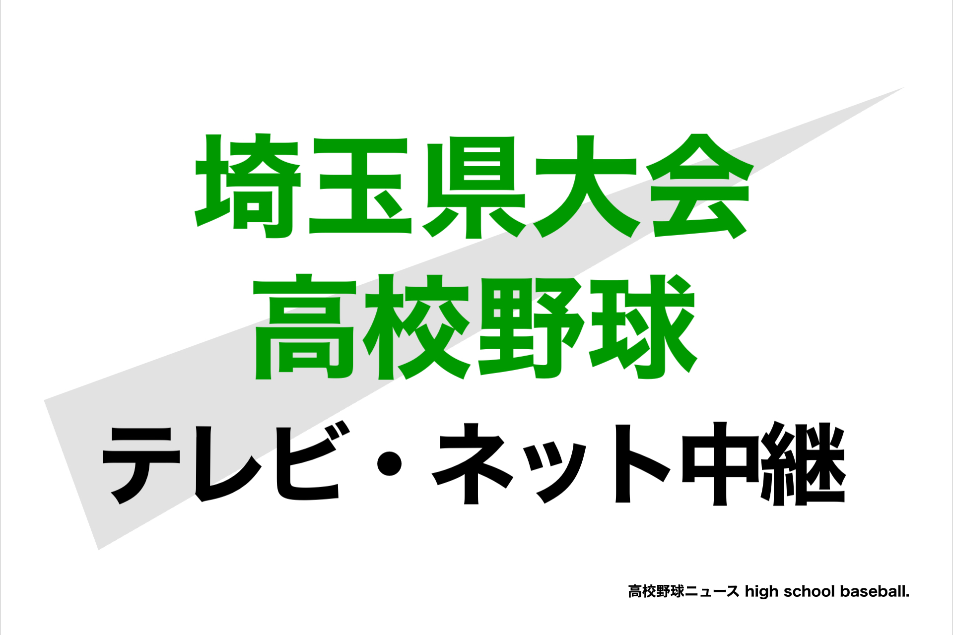 埼玉 県 高校 野球 新人 戦